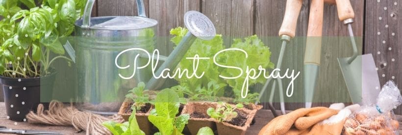 Plant Spray