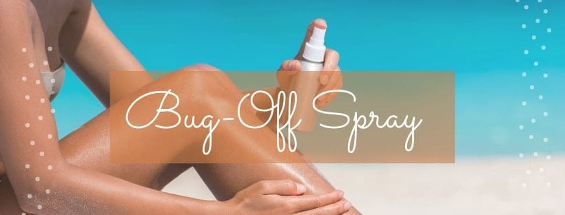 bug off spray recipe