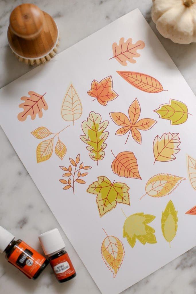 Printable Fall Stickers. Colorful Leaves on a white sheet of sticker paper