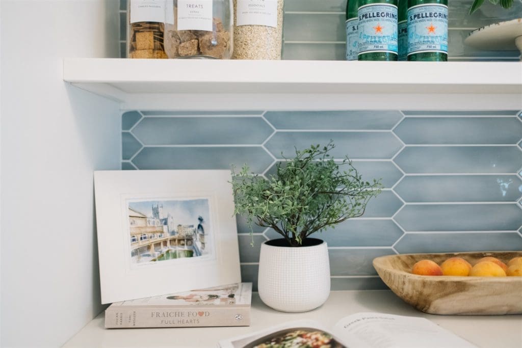 potted plant on a counter