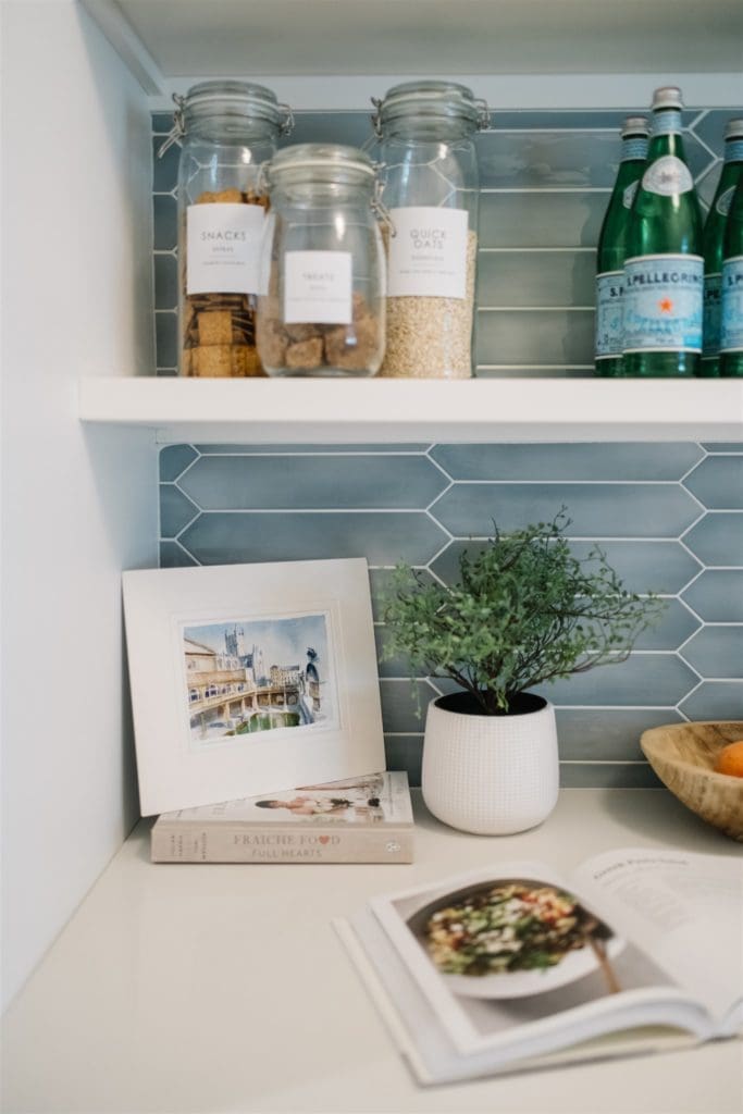 potted plant on a counter
