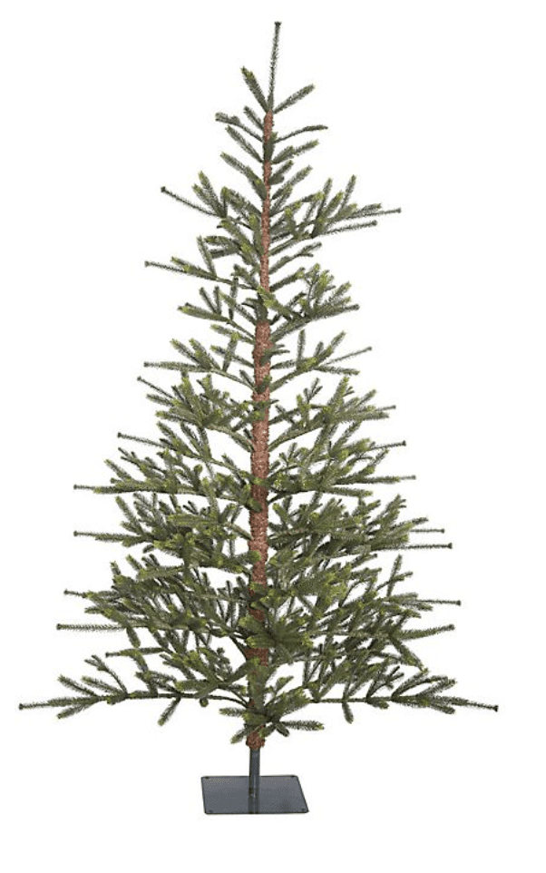A close up of a tree