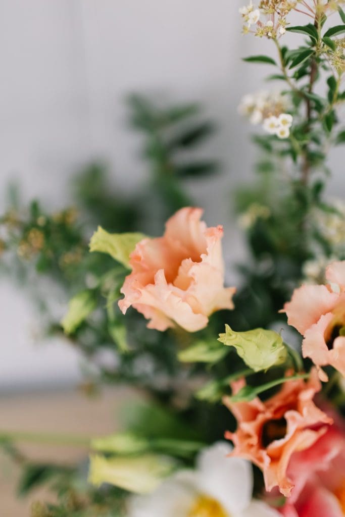 A close up of a peach flower