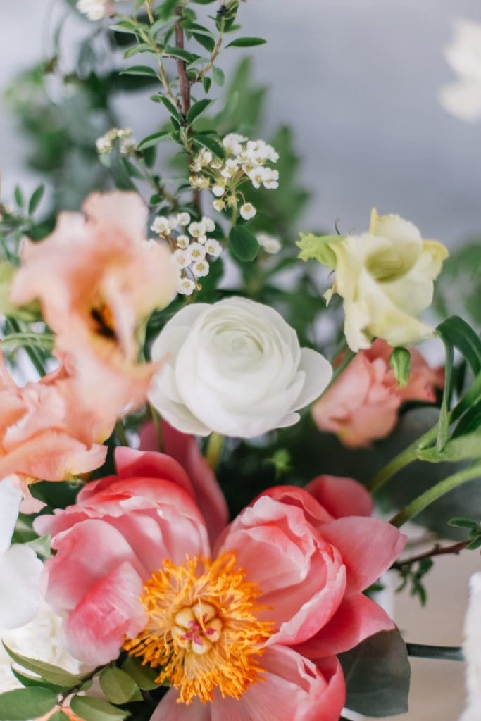 A close up of a white ranunculus flower